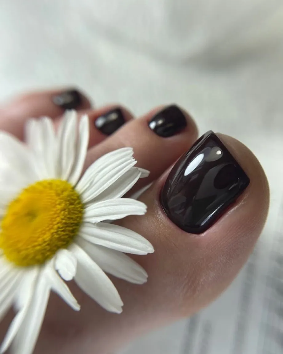 Робота салону Ely's