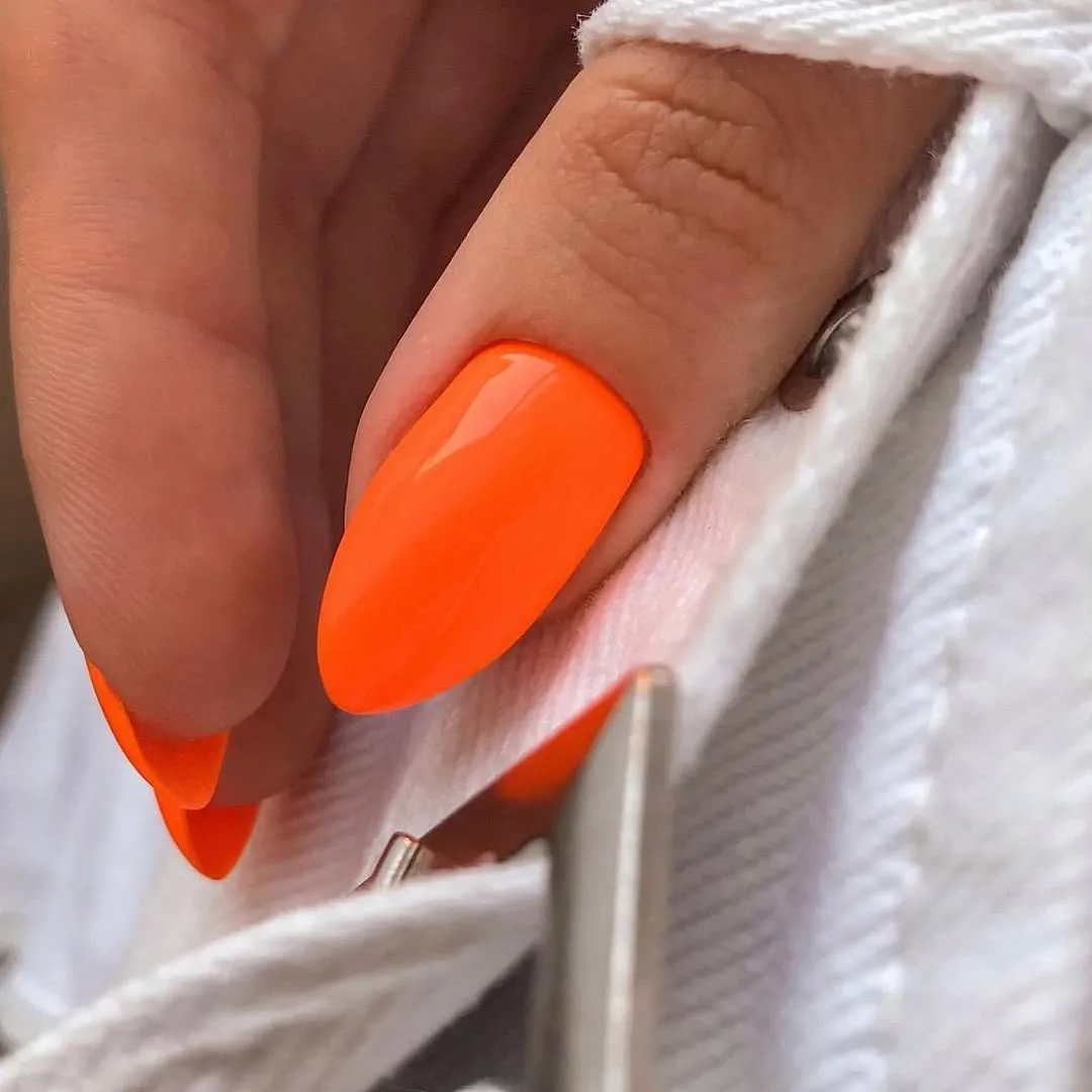 Робота салону Ely's