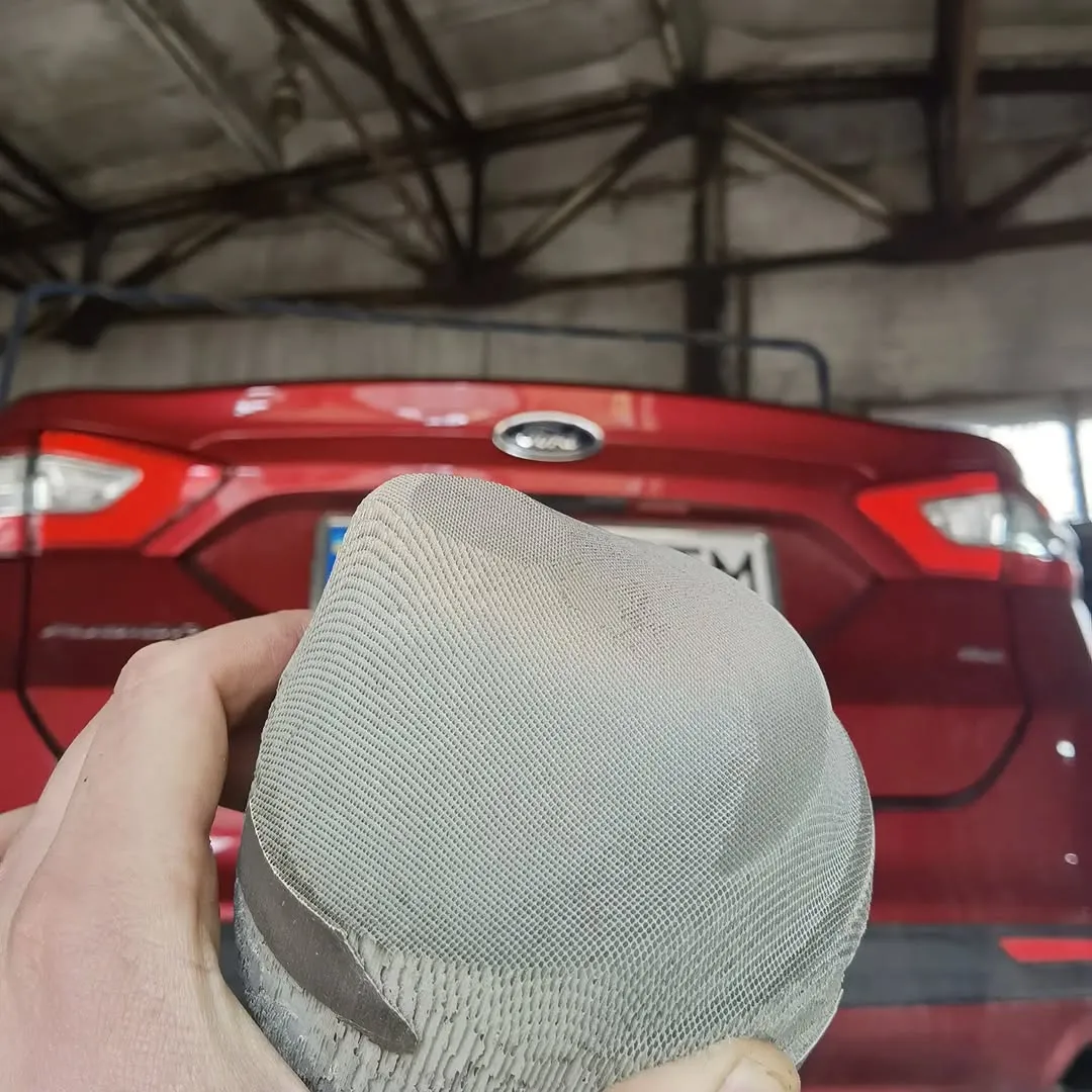 Ford — видалення каталізатора GCLAN